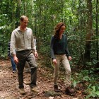 kate-william-borneo-danum-valley-1