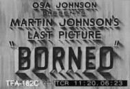 martin-osa-johnson-picture-borneo