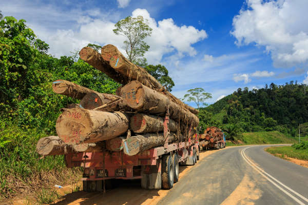 District-Tawau_Sabah_Logging-Trucks-01